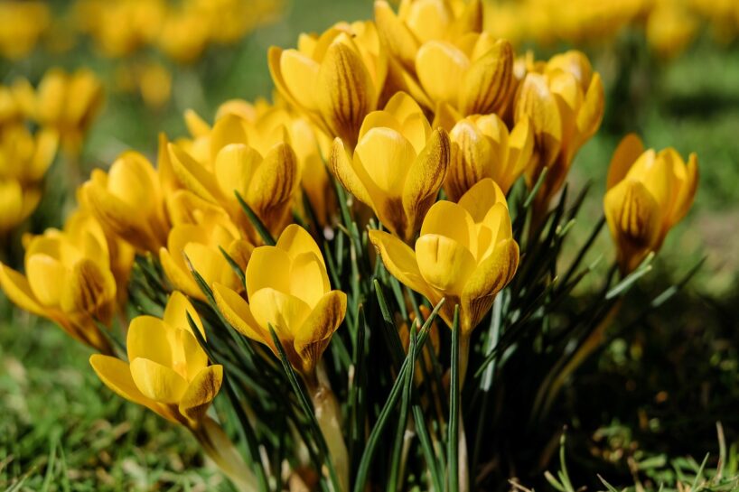 Beidzot izskan prognoze, kad Latvijā varam atkal sagaidīt +25 grādu temperatūru