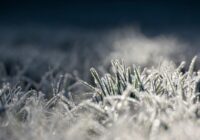 Meteorologs Andris Vīksna publiskojis pirmo ilgtermiņa vasaras prognozi – vasara ir atkāpusies