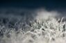 Meteorologs Andris Vīksna publiskojis pirmo ilgtermiņa vasaras prognozi – vasara ir atkāpusies