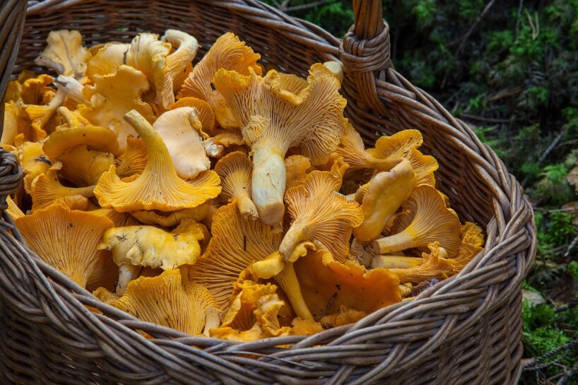 Vasaras vietā ledaini lieti: sinoptiķi strauji mainījuši laika prognozi līdz jūnija beigām