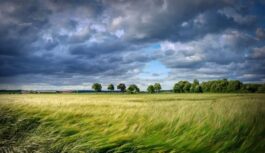 “Būs jūtams rudens vai pavasaris, bet ne vasara…”: meteorologs Toms Bricis nāk klajā ar jaunākajām laika prognozēm