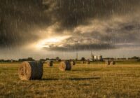 Meteorologi izteic nopietnu prognozi par 2025. gada vasaru
