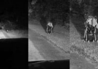 Ja naktī uz ceļa pamanāt vientuļus bērnu ratiņus, neapstājieties un neizkāpiet no auto – brīdinājums, ko ņemu vērā
