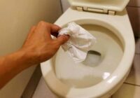 Kur izmest tualetes papīru – podā vai atkritumos, skaidroju pareizo risinājumu