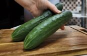 Visu vasaru ēdam gurķus kilogramiem, īpaši karstumā- turku pavārs iemācīja pagatavot aukstu uzkodu 5 minūtēs