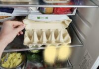 Kāpēc es lieku tukšu olu kārbu ledusskapī- triks, kas atvieglo dzīvi