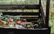Tas sabojās visu! Dārznieks nosaucis 5 lietas, ko nekad nedrīkst likt komposta kaudzē Tas sabojās visu! Dārznieks nosaucis 5 lietas, ko nekad nedrīkst likt komposta kaudzē