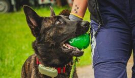 Valsts policijā dienestu uzsācis īpašs darbinieks, bet cilvēki fotogrāfijās pamanījuši ko dīvainu: skaidrojam, kas tas ir (+ VIDEO)