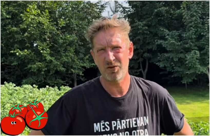 “Man ir 20 gadu pieredze!”: dārza influenceris Dāvids pastāsta, kā aprēķināt, cik daudz tomātu stādiem jāapgriež lapas