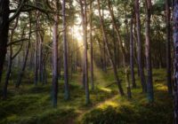 Meteorologi informē iedzīvotājus, ka tas sāksies no 11.augusta: augustā gaidāmi ekstrēmi laikapstākļi