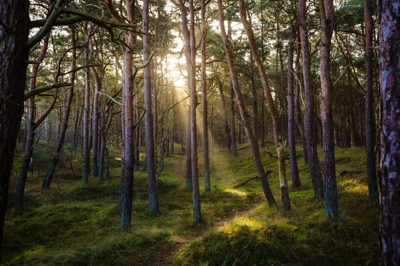 Meteorologi informē iedzīvotājus, ka tas sāksies no 11.augusta: augustā gaidāmi ekstrēmi laikapstākļi