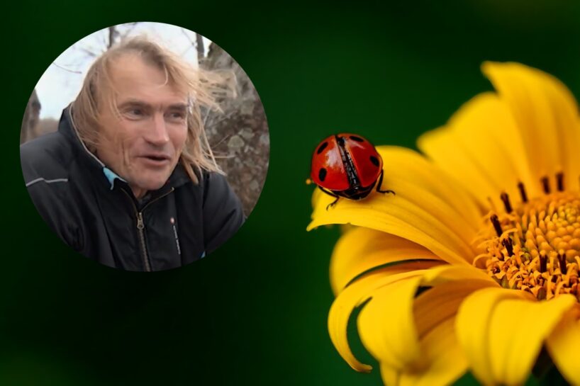 Senču zīmes un mūsdienu laikapstākļi – Vilis Bukšs atklāj savu prognožu noslēpumu: ”Laiks runā ar mani”