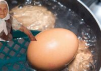 Omīte Mirdza no Līvāniem man sniedza padomu: kāpēc nekādā gadījumā nedrīkst likt vārītas olas aukstā ūdenī