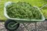 Nopļautā zāle: mans pieredzes stāsts, kā izmantot nopļauto zāli ar maksimālu labumu dārzā