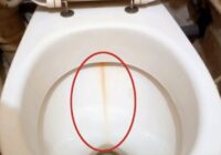 Vairs nevajadzēs tīrīt tualeti no rūsas nosēdumiem un aplikuma- parādīšu viltību, ko vajag izdarīt pirms gulētiešanas
