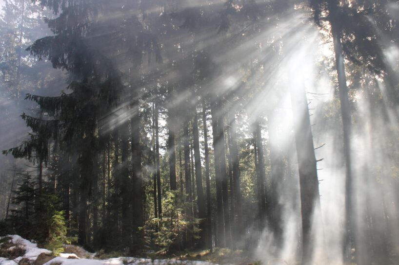Meteorologi sniedz skumju prognozi augustam: ”Ciklons strauji pārņems pēdējo vasaras mēnesi”