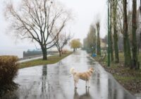 Septembris būs pilnīgi traks: meteorologi atjaunojuši prognozi rudens sākumam — ko mums gaidīt