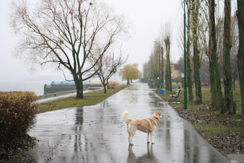 Septembrī būs pilnīgi traks: meteorologi atjaunojuši prognozi rudens sākumam — ko mums gaidīt