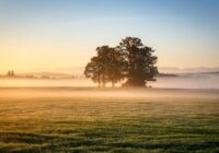 “Dažviet vairs tikai ap +5 grādiem…”: meteorologs Toms Bricis nāk klajā ar ļoti nepatīkamām ziņām