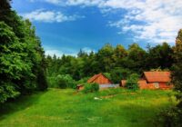 Kaimiņiene bieži viesojās, baudīja šašliku un smaidīja, bet kādu dienu es viņai uzdevu jautājumu
