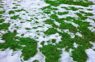 Ziema tuvojas ar intrigu – meteorologi atklājuši, ko decembris nesīs līdzi