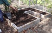 7 gudri veidi, kā izmantot paaugstinātos dārza dobes rudenī un ziemā 7 gudri veidi, kā izmantot paaugstinātos dārza dobes rudenī un ziemā