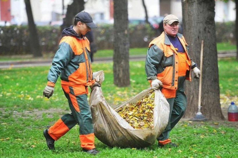 Viena interesanta metode un citi neparasti veidi, kā atbrīvoties no nokritušajām rudens lapām