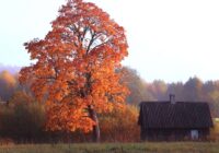 Rudens Atvadu diena 28. oktobrī: kāpēc šajā dienā nedrīkst mazgāt veļu un citas lietas, kas var piesaistīt neveiksmes