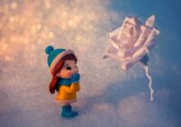 Rozes, lilijas vai saulespuķes: noskaidro savas dvēseles liktenīgo ziedu saskaņā ar savu dzimšanas dienu