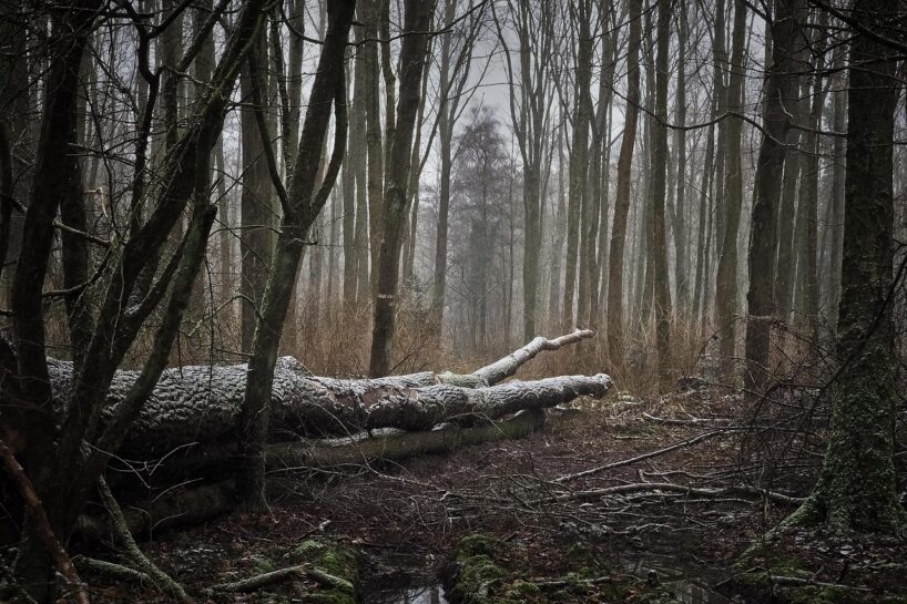 Jau novembrī mūs sasniegs neparasti laikapstākļi: ”Viss iesāksies jau 4.novembrī un turpināsies nedēļu”