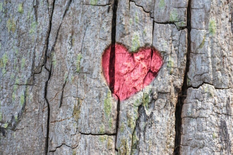 7 skaidras pazīmes, ka “aizgājušā” mīļā cilvēka dvēsele vēl aizvien atrodas tev blakus