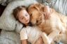 Vai tiešām drīkst laist suni gultā: ko par to saka speciālisti un saimnieki Vai tiešām drīkst laist suni gultā: ko par to saka speciālisti un saimnieki