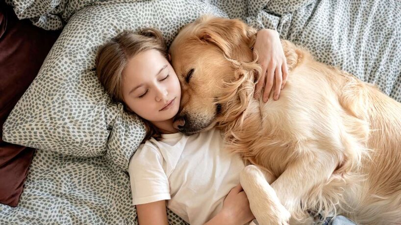 Vai tiešām drīkst laist suni gultā: ko par to saka speciālisti un saimnieki