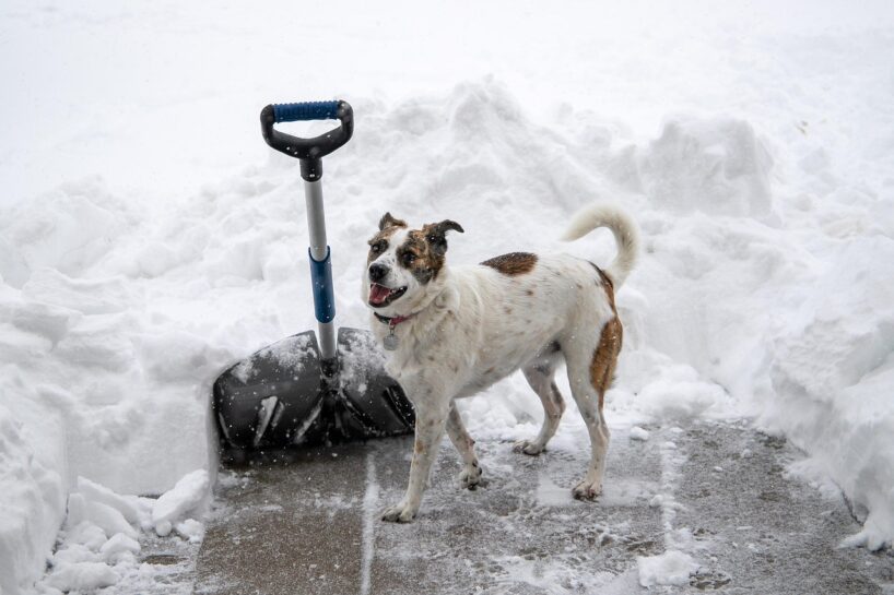 Meteorologs un laika ziņu apskatnieks, izteica trīs iespējamos ziemas 2025-2026 scenārijus un pastāstīja, cik patiesas mūsdienās ir tautas zīmes