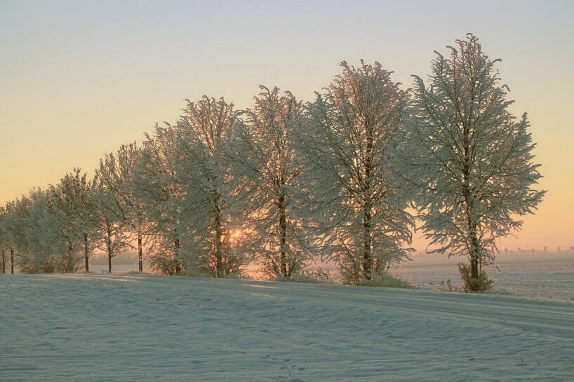 Ziemas prognoze: kuros reģionos būs rekordaugsta temperatūra un pat sausums