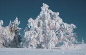 Ko vēsta zīmes 24. oktobrī: dabas un laika īpatnības par kurām mūsu senči baidījās runāt Ko vēsta zīmes 24. oktobrī: dabas un laika īpatnības par kurām mūsu senči baidījās runāt