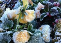 Noslēpumainie ziemas brīdinājumi: kāpēc kapsētu ziemas laikā labāk apiet ar līkumu