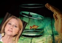 Noskalos zeltainā lietū: Tamāra Globa prognozē dimanta veiksmes periodu četrām zodiaka zīmēm no 5. novembra