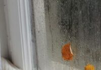 Kondensāts uz logiem jau sen ir apnicis – problēmas cēlonis varētu būt šis priekšmets virtuvē