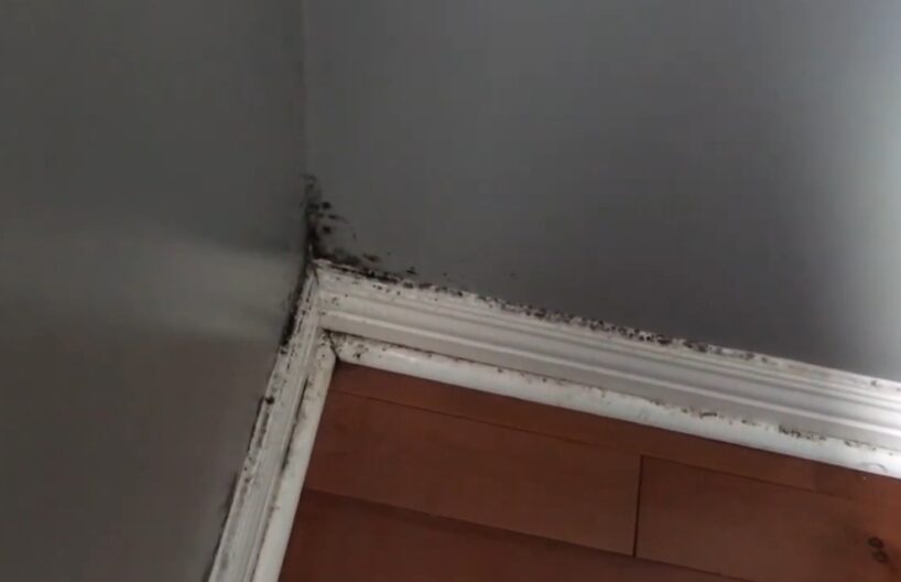 Svarīgākās mikrovides, kurās vairojas pelējums – eksperti mudina nekavējoties atbrīvoties no 5 lietām, lai šoziem novērstu mitrumu