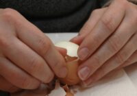 Aukstā metināšana no olu čaumalām: vecais paaudzes paņēmiens, kas ir izturīgāks par veikalā nopērkamajiem maisījumiem