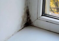 Noņem pelējumu no logu blīvējuma, lai tas vairs neatgrieztos, izmantojot vienu vienkāršu virtuves sastāvdaļu