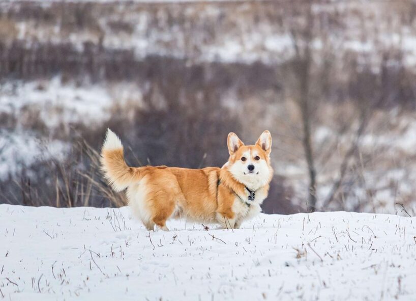 Meteorologs Toms Bricis: Skandināvijai tuvojas aukstā gaisa masa – gaidāms sniegs un aukstums