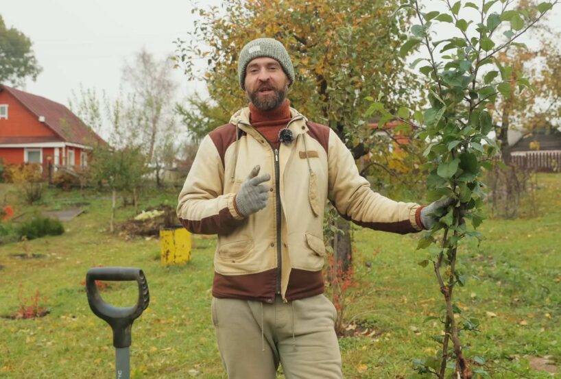 Kad ir vislabākais laiks, lai stādītu kokus dārzā: agronomi snieguši skaidru atbildi