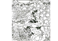 Pārbaudi savu attapību, atrodi atšķirības attēlos un noskaidro ko tas nozīmē – ne visiem tas izdodas Pārbaudi savu attapību, atrodi atšķirības attēlos un noskaidro ko tas nozīmē – ne visiem tas izdodas