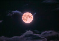 5. novembrī debesis izgaismos Super “Bebru” Mēness: viens no spožākajiem un iespaidīgākajiem šajā gadā