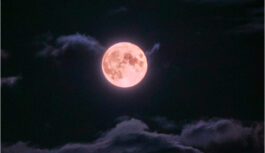 5. novembrī debesis izgaismos Super “Bebru” Mēness: viens no spožākajiem un iespaidīgākajiem šajā gadā 5. novembrī debesis izgaismos Super “Bebru” Mēness: viens no spožākajiem un iespaidīgākajiem šajā gadā