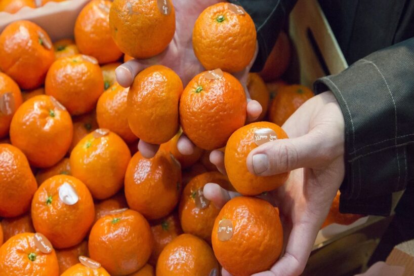 Pazīstama pārdevēja no Jelgavas pastāstīja, kā atlasīt visgardākos mandarīnus: vienkārša pazīme, ko daudzi palaiž garām