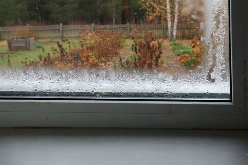 Logi vienmēr paliks sausi un bez pelējuma, ja ik rītu veiksi tikai vienu vienkāršu darbību