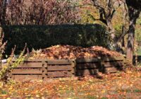 Eksperte uzsver, lai šoziem iedzīvotāji neaizver savas komposta tvertnes vāku: ”Ļaujiet pārziemot šīm radībām tur”